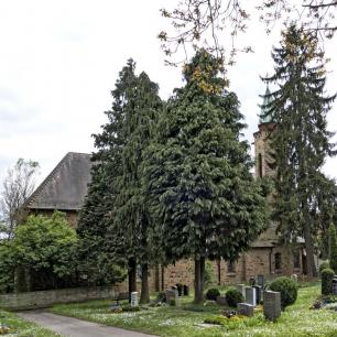 Stgt-Degerloch · Mariae Himmelfahrt